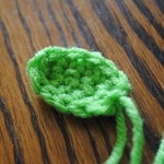 small rounded leaf