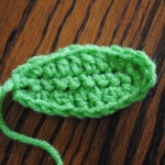 large rounded leaf