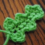 large holly leaf
