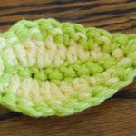 varigaited leaf