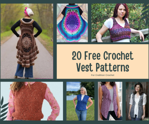Free-Vest-Title-480x400.png